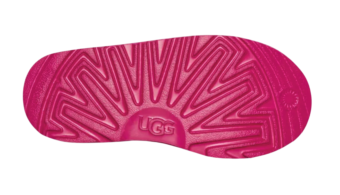 Tasman Slipper Rock Rose - 1019066K-RCR