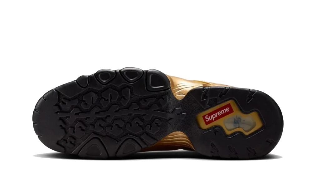 SB Air Max 2 CB &