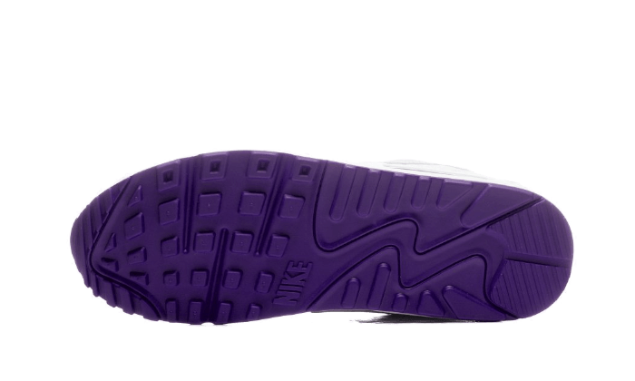 Air Max 90 Voltage Purple