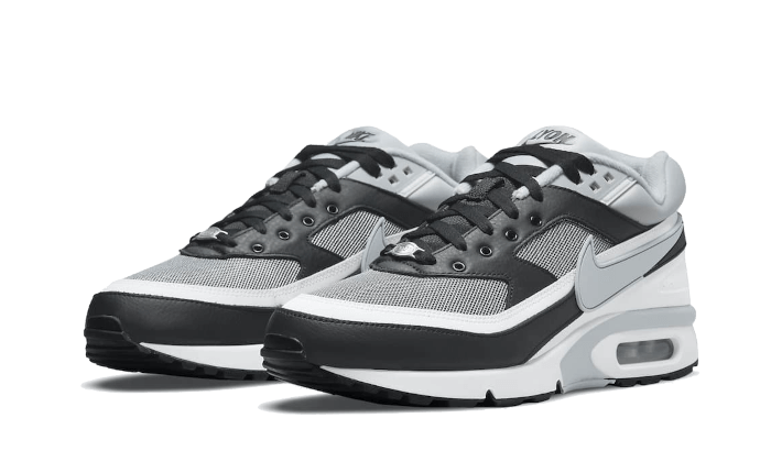 Air Max BW Lyon
