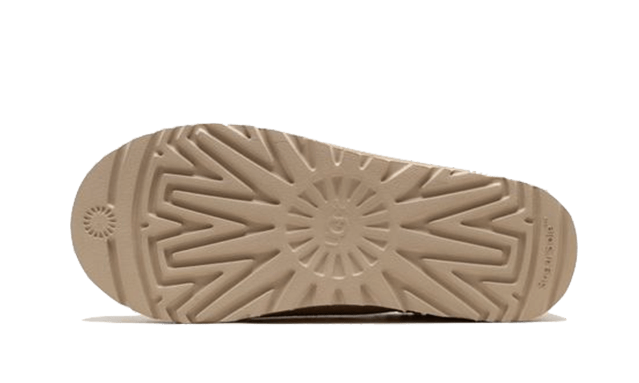 Tasman Slipper Mustard Seed