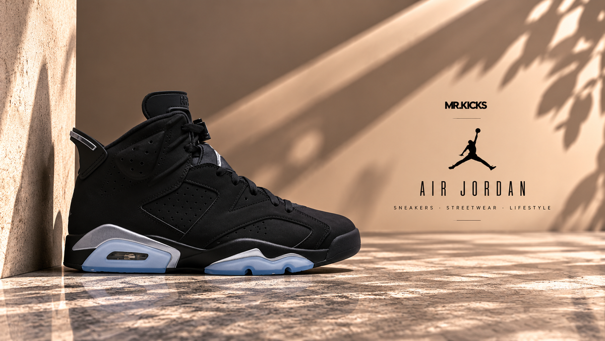 Air Jordan 6