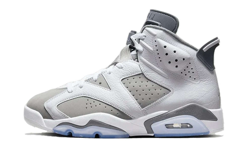 Air Jordan 6 Cool Grey