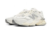 9060 Sea Salt Moonbeam