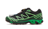 Advanced XT-6 Gore-Tex Eden Green Ash
