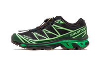 Advanced XT-6 Gore-Tex Eden Green Ash