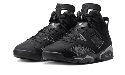 Air Jordan 6 Retro Cap and Gown