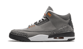 Air Jordan 3 Retro Cool Grey (2021)