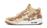 Air Jordan 3 Retro WNBA Desert Camo