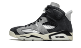 Air Jordan 6 Tech Chrome