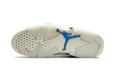 Air Jordan 6 Tech Chrome