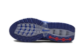 Air Max DN Platinum Royal Blue