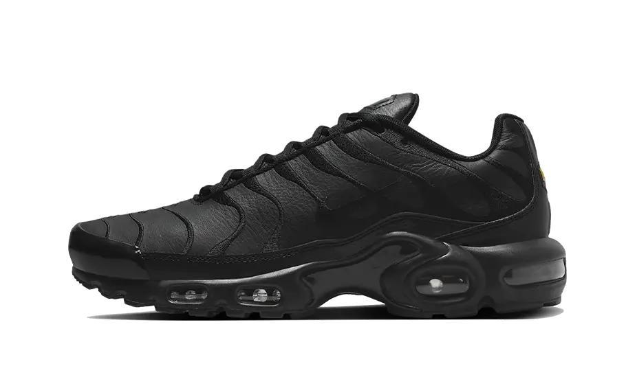 Air Max Plus Triple Black Leather