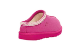 Tasman Slipper Rock Rose - 1019066K-RCR