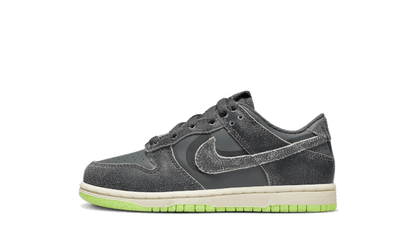 Dunk Low Swoosh Shadow Iron Grey Enfant (PS)
