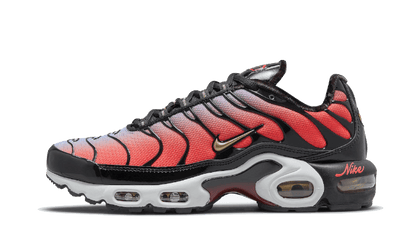 Air Max Plus Sisterhood