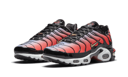 Air Max Plus Sisterhood