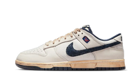 Dunk Low Stranger Things Phantom
