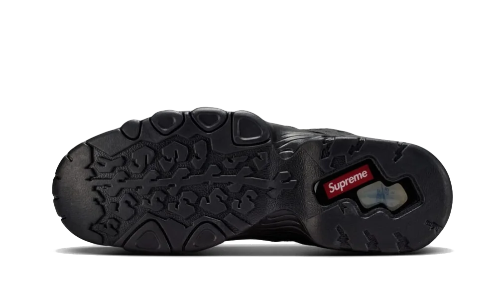 SB Air Max 2 CB &