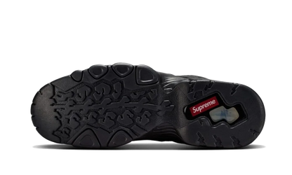 SB Air Max 2 CB &