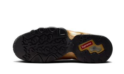 SB Air Max 2 CB &