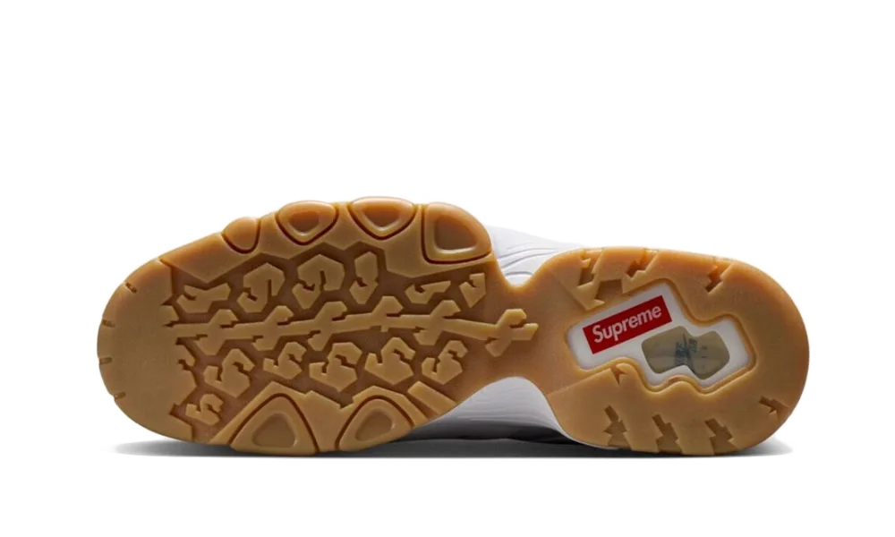 SB Air Max 2 CB &