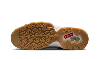 SB Air Max 2 CB &