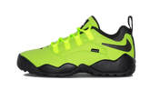 SB Darwin Low Supreme Volt
