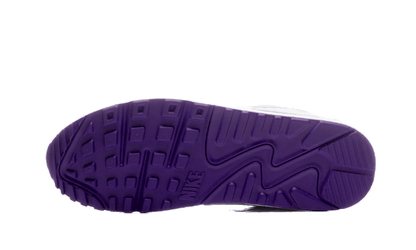 Air Max 90 Voltage Purple