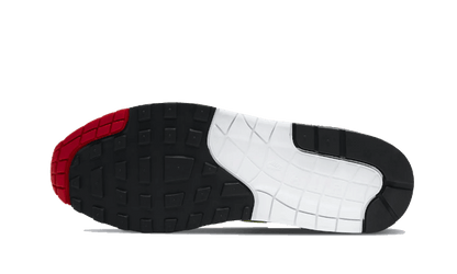 Air Max 1 Evolution of Icons