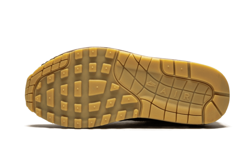 Air Max 1 Susan Missing Link