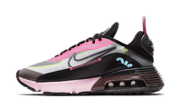 Air Max 2090 Pink Foam
