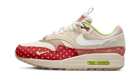 Air Max 1 PRM Best Friend