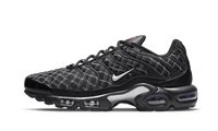 Air Max Plus France