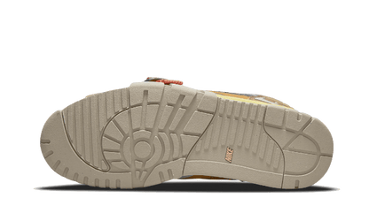 Air Trainer 1 SP Coriander