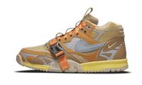 Air Trainer 1 SP Coriander