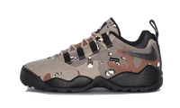 SB Darwin Low Supreme Desert Camo