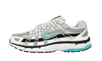 P-6000 Dusty Cactus - CD6404-103