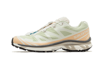 XT-6 Aloe Wash Feather Grey