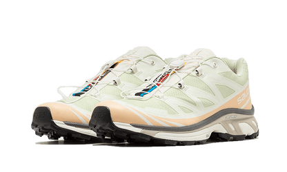 XT-6 Aloe Wash Feather Grey