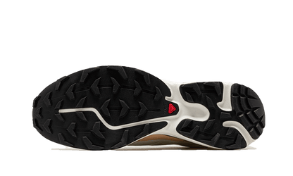 XT-6 Aloe Wash Feather Grey
