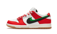 SB Dunk Low Frame Skate Habibi