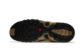 ACS Pro Advanced Safari