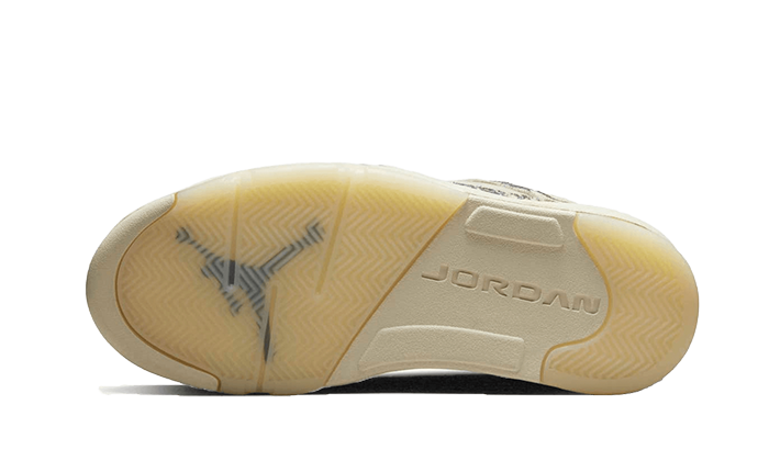 Air Jordan 5 Low Ausdruck