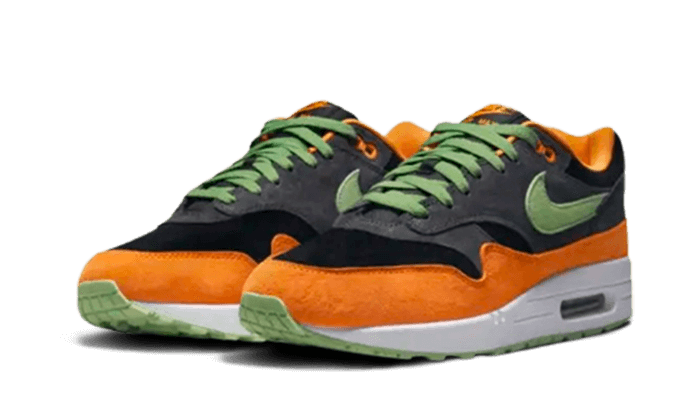 Air Max 1 PRM Duck Anthrazit