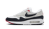 Air Max 1 &