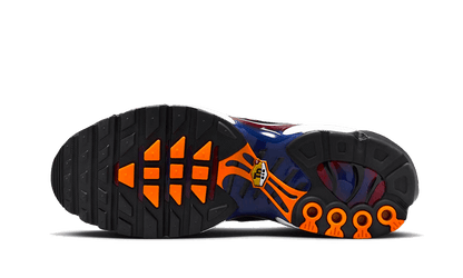 Air Max Plus Patta FC Barcelona