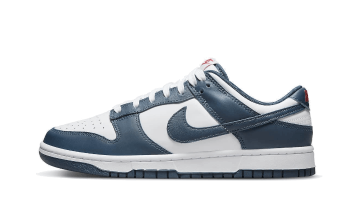 Dunk Low Valerian Blue