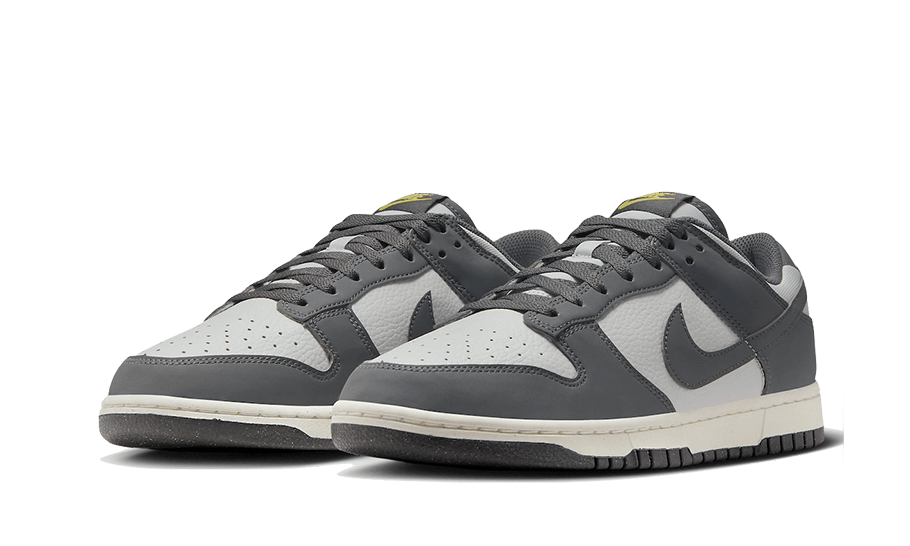 Dunk Low Next Nature Iron Grey Lightning