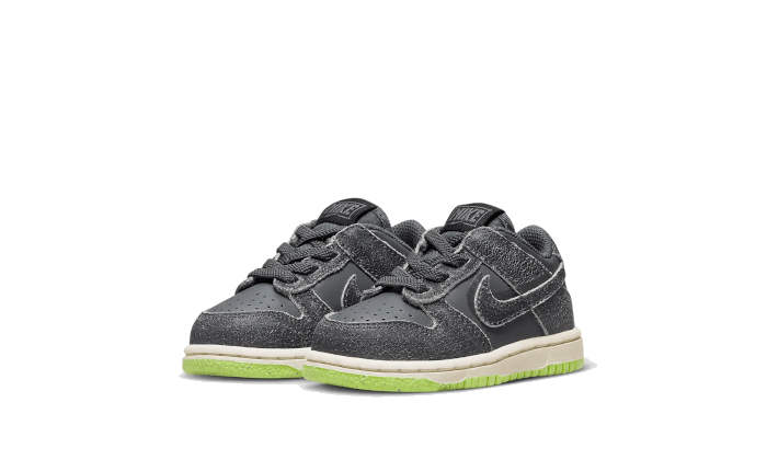 Dunk Low Swoosh Shadow Iron Grey Bébé (TD)